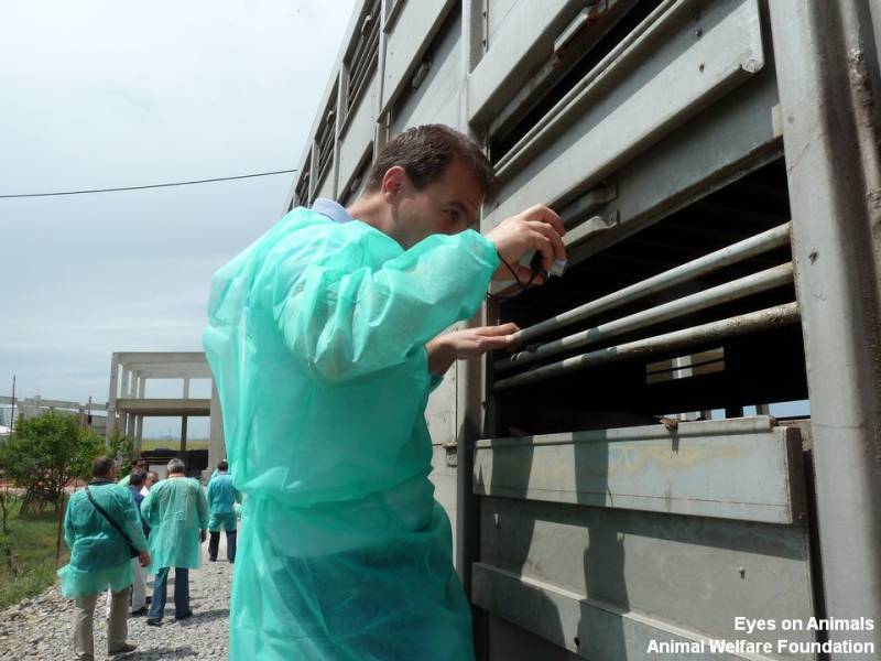 22.05.2013_BG_practical_training__19