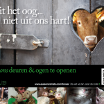 EonA_NRC_Charity_Award_2014