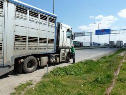 Truck at turkish border
