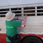 Inspecting trucks