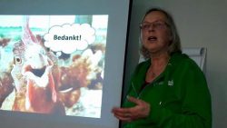 20170119_NL_Monique BioBeurs chicken catching