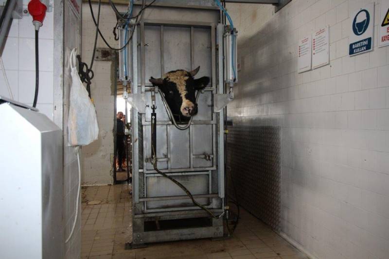 Inspection of Tekirdag slaughterhouse in Turkey