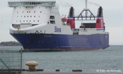 Stena Roll-on Roll-off ferry