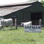 ARFMAN