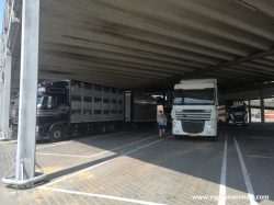 Parking lot at Van Rooi