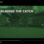 Calming the catch