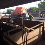 Eyes on Animals tijdens inspectie slachthuis varkens Ghana