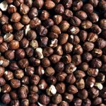 Hazelnuts: from animal to plant-based protein'