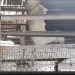 Halal slaughter in Turkey video screenshot