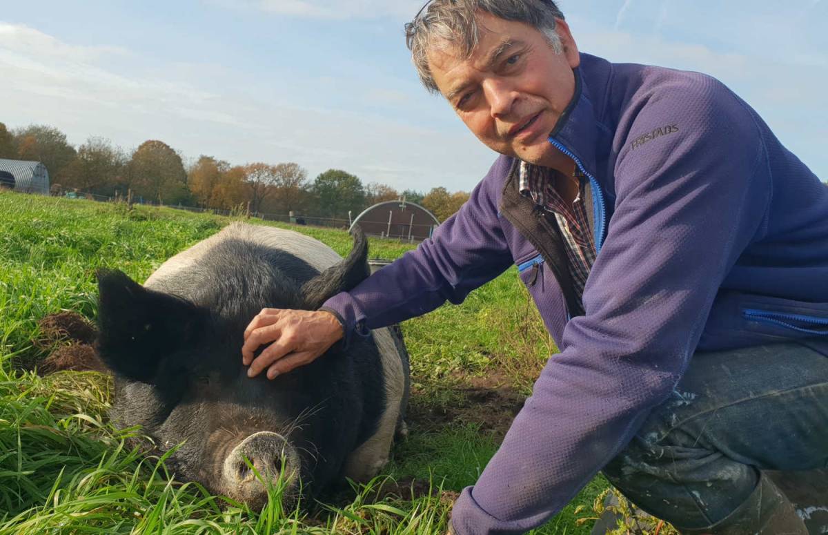 Boer kees met een van zijn varkens op zijn boerderij