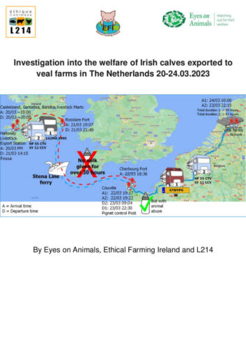 2023 March 20 - 24 Export of unweaned calves from Ireland to NL _FINAL