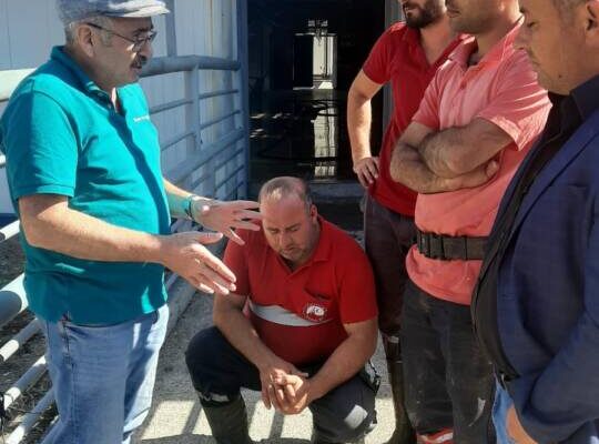 Training at Karabük slaughterhouse in Turkey