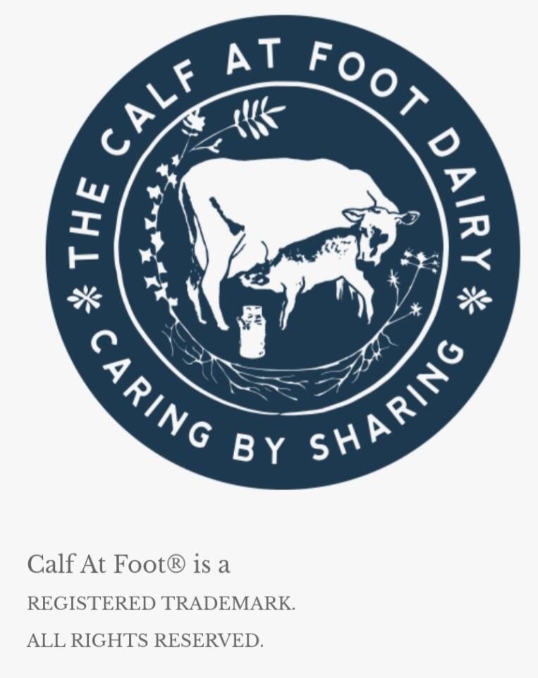 Meeting with pioneer farmer and founder of Calf at Foot Dairy