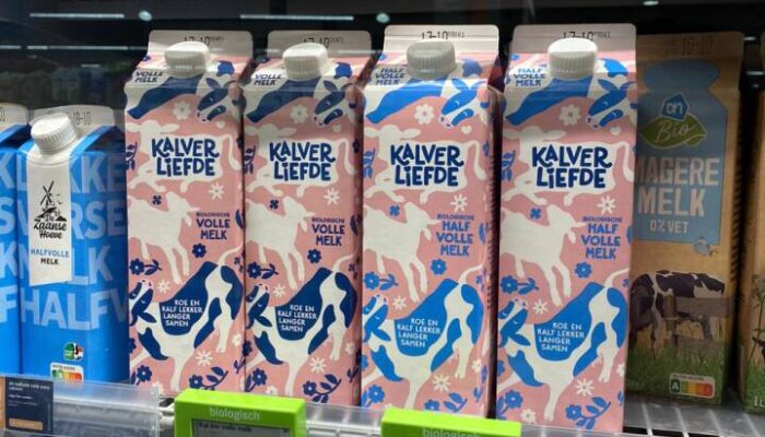 Milk from KALVER LIEFDE in tetra packs in the refrigerator shelf at the store ​