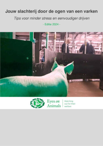 PDF met Industrie Tips voor varkensslachterijen